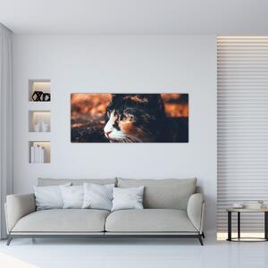 Kép - A macska látképe (120x50 cm)