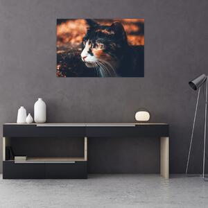 Kép - A macska látképe (90x60 cm)