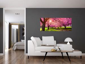 A virágzó cseresznye képe, Hurd Park, Dover, New Jersey (120x50 cm)