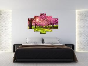 A virágzó cseresznye képe, Hurd Park, Dover, New Jersey (150x105 cm)