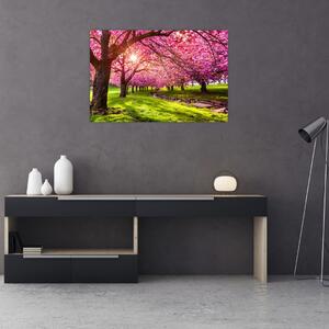 A virágzó cseresznye képe, Hurd Park, Dover, New Jersey (90x60 cm)