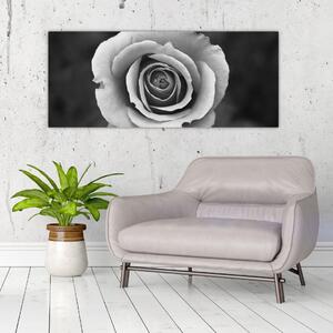 Egy rózsa képe (120x50 cm)