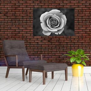 Egy rózsa képe (90x60 cm)