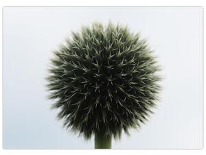 Egy viráglabda képe (70x50 cm)