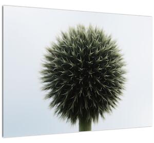 Egy viráglabda képe (üvegen) (70x50 cm)