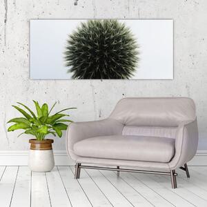 Egy viráglabda képe (120x50 cm)
