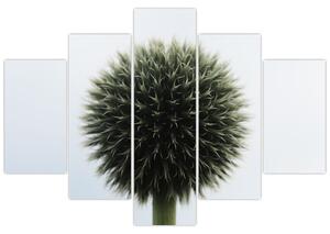 Egy viráglabda képe (150x105 cm)