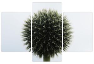 Egy viráglabda képe (90x60 cm)