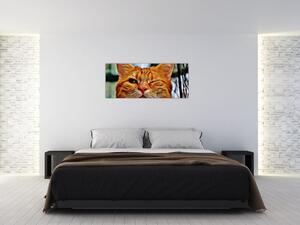 Egy pislogó macska képe (120x50 cm)
