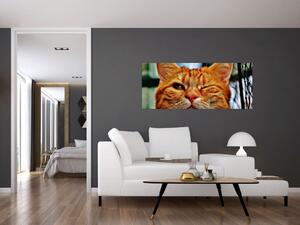 Egy pislogó macska képe (120x50 cm)