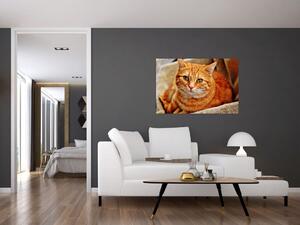 Egy fekvő macska képe (90x60 cm)