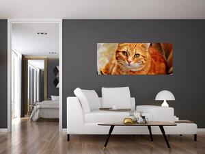 Egy fekvő macska képe (120x50 cm)