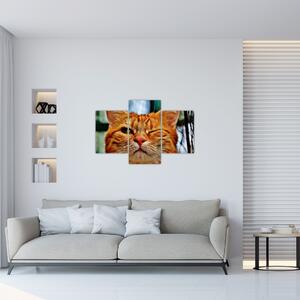 Egy pislogó macska képe (90x60 cm)