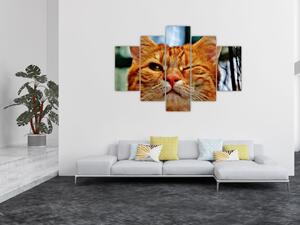 Egy pislogó macska képe (150x105 cm)