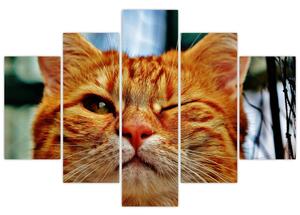 Egy pislogó macska képe (150x105 cm)