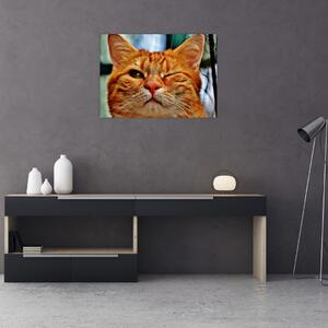 Egy pislogó macska képe (70x50 cm)
