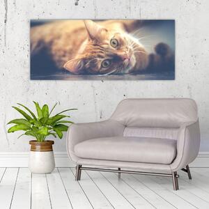 Egy kép a macskáról a padlón (120x50 cm)