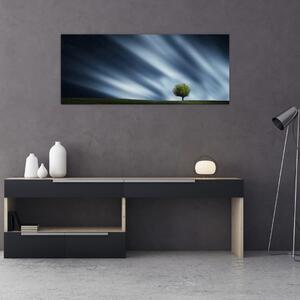 Az aurora borealis képe egy lápvidéken (120x50 cm)