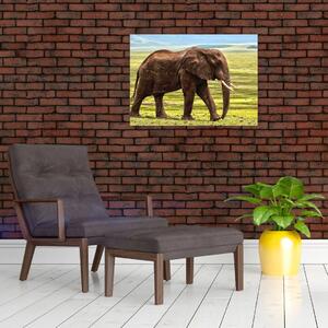 Egy elefánt képe (70x50 cm)