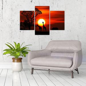 Kép - Állatok sziluettjei napnyugtakor (90x60 cm)