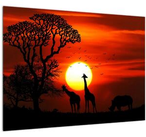 Kép - Állatok sziluettjei napnyugtakor (üvegen) (70x50 cm)