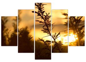 Kép - A nap lenyugszik a fák mögött (150x105 cm)