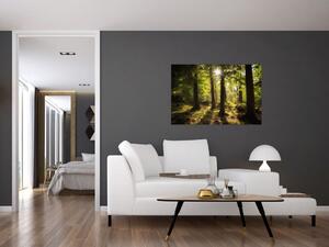Egy álmodozó erdő képe (90x60 cm)