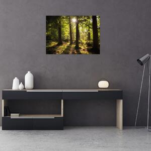 Egy álmodozó erdő képe (70x50 cm)