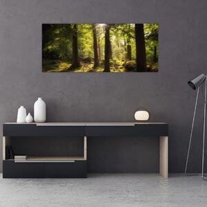 Egy álmodozó erdő képe (120x50 cm)