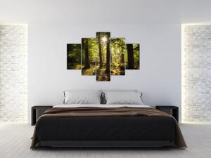Egy álmodozó erdő képe (150x105 cm)