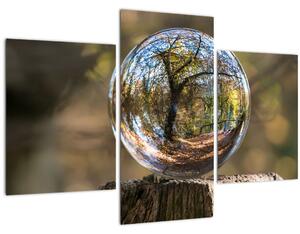 Kép - Tükröződés az üveggömbben (90x60 cm)