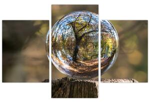 Kép - Tükröződés az üveggömbben (90x60 cm)