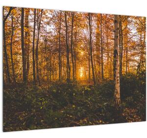 Egy őszi erdő képe (üvegen) (70x50 cm)