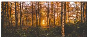 Egy őszi erdő képe (120x50 cm)