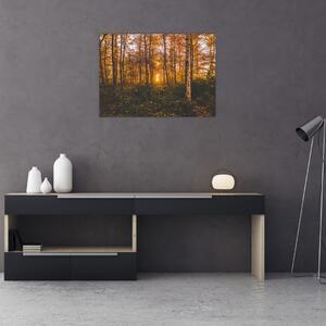 Egy őszi erdő képe (70x50 cm)