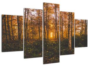 Egy őszi erdő képe (150x105 cm)