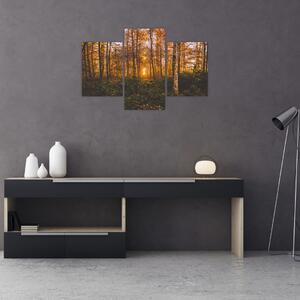 Egy őszi erdő képe (90x60 cm)