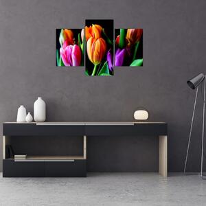 Tulipánok képe fekete alapon (90x60 cm)