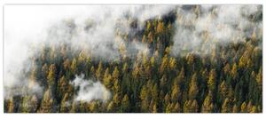 Egy erdő képe a felhők között (120x50 cm)