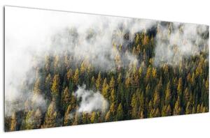 Egy erdő képe a felhők között (120x50 cm)