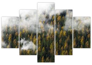Egy erdő képe a felhők között (150x105 cm)