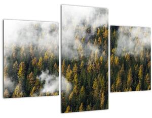 Egy erdő képe a felhők között (90x60 cm)
