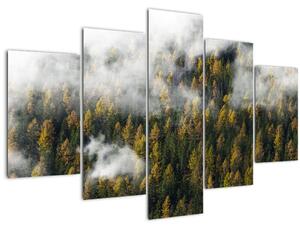Egy erdő képe a felhők között (150x105 cm)