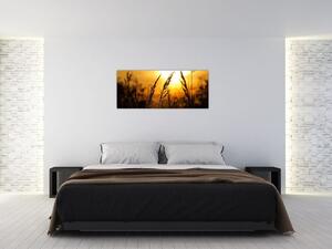 A lenyugvó nap képe (120x50 cm)