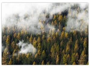 Egy erdő képe a felhők között (70x50 cm)