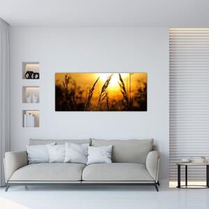 A lenyugvó nap képe (120x50 cm)