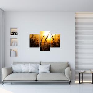 A lenyugvó nap képe (90x60 cm)