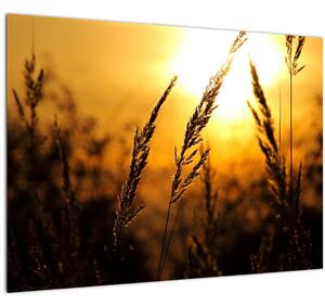 A lenyugvó nap képe (70x50 cm)
