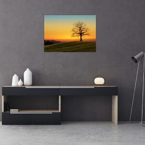 Egy fa képe a mezőn (70x50 cm)