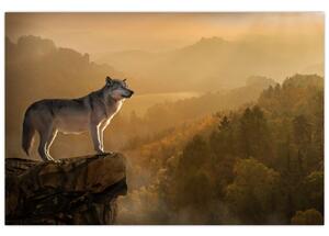 Egy farkas képe a sziklán (90x60 cm)